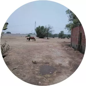 Tepetlaoxtoc de Hidalgo - Town in Mexico