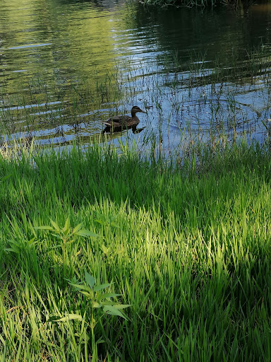 Termas de Amarante - Thermal baths in Amarante, Portugal