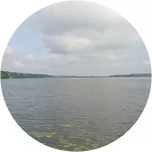 Ternopil's'kyi Pond - Pond in Ukraine