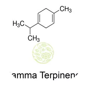 Terpinene - 
