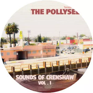 Terrace Martin Presents The Pollyseeds - Musical artist