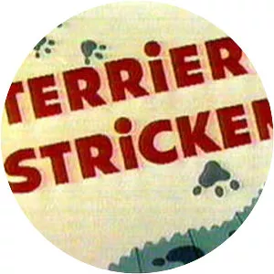 Bugs Bunny und Looney Tunes Terrier Stricken