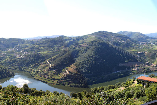 Terrus Wines and Cottages