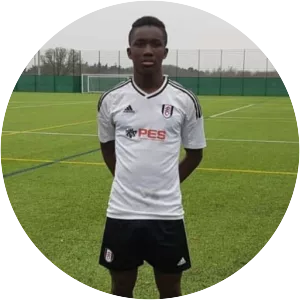 Terry Ablade - Football player