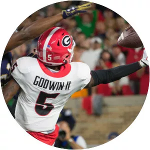 Terry Godwin - American football player