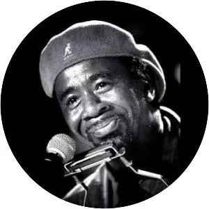 Terry Harmonica Bean