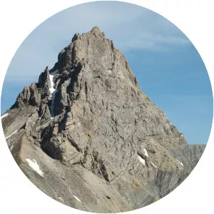 Tête de Garnesier - 