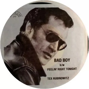 Tex Rubinowitz - Musical artist