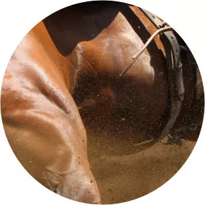 Texas High School Rodeo FinalsSince 2020 - TV program