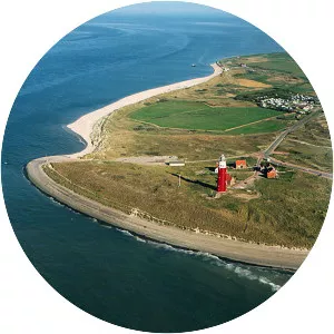 Texel