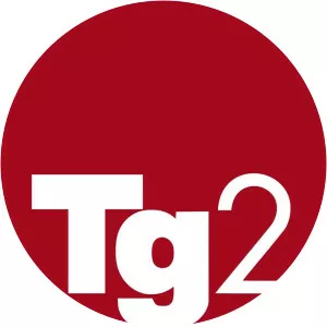 TG2 GiornoSince 2014