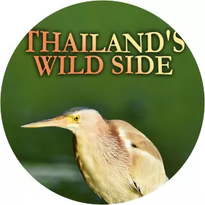 Thailand's Wild Side