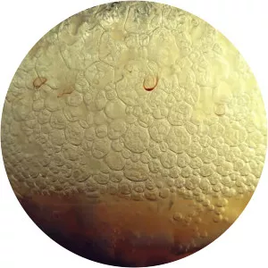 Thalia Hoffman - Film editor