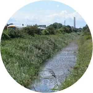 Thames and Medway Canal