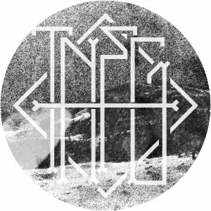 That Night Forests Grew