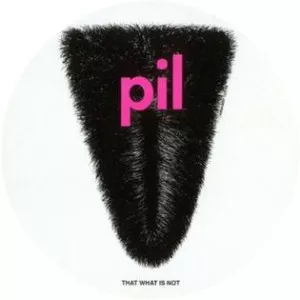 That What Is Not - Album by Public Image Ltd
