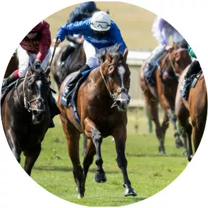 The 2,000 guineasSince 2020 - TV program