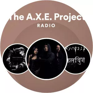 The A. X. E. Project