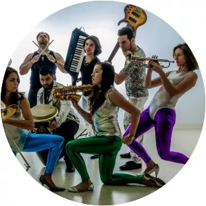 the achromatics - Musical artist