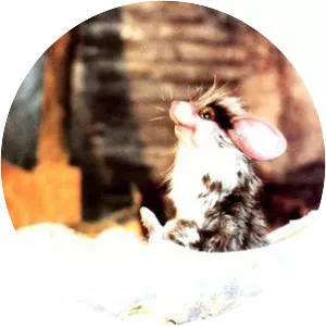 The Adventures of Grady Greenspace