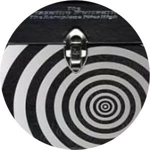 The Aeroplane Flies High