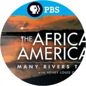 The African Americans: Many Rivers to