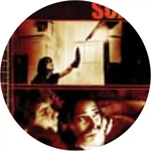 The Aggression Scale