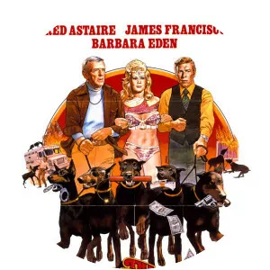 The Amazing Dobermans