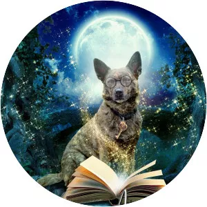 The Amazing Wizard of Paws