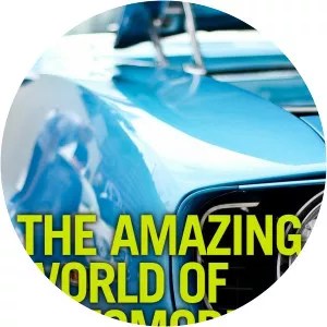 The Amazing World of AutomobilesSince 2014