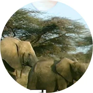 The Amazing World - TV program