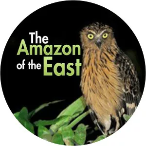 The Amazon of the EastSince 2017