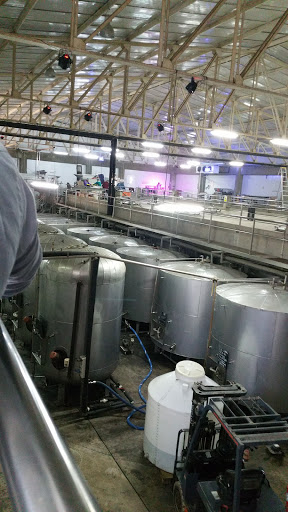 THE AMAZON OXYGEN S.A.C