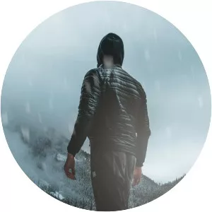 The Ambientalist - Musical artist