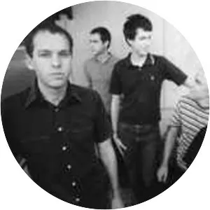 The American Analog Set