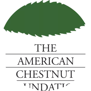 The American Chestnut Foundation - Nonprofit