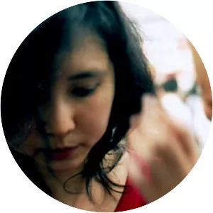 The Analog Girl - Musical artist