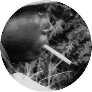 The Anderson Platoon