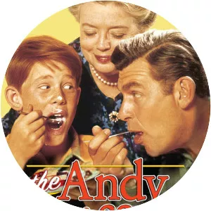 The Andy Griffith Show