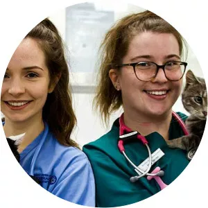 The Animal Files - TV program