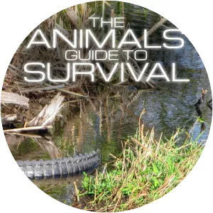 The Animals' Guide to Survival