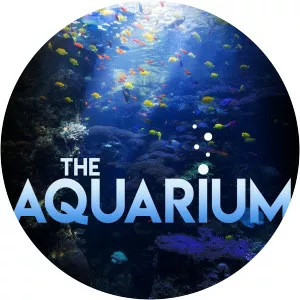 The Aquarium