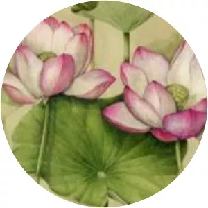 The Art of Botanical Drawing