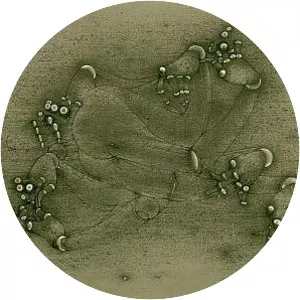 The Articulated Hands