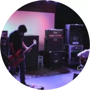 The Austerity Program