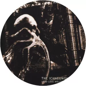 The Axis of Perdition