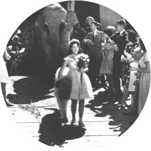 The Bashful Elephant