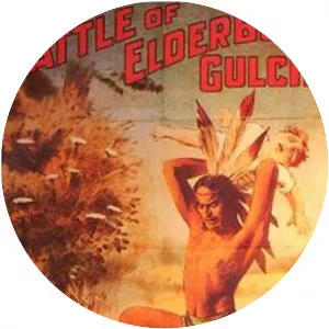 The Battle at Elderbush Gulch