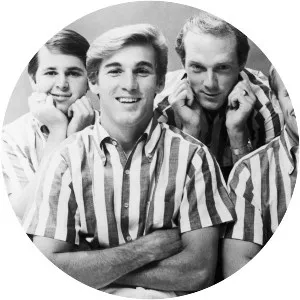 The Beach Boys - Rock band