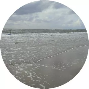 The Beach on Fanø - 